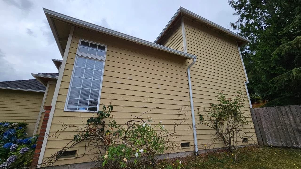 Painting & Home Improvement Services